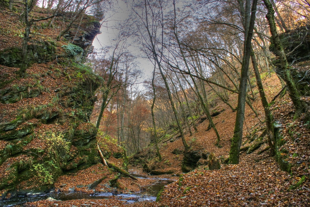 Traumschleifen Saar-Hunsrück (Rundwanderwege) | Hunsrück-Touristik