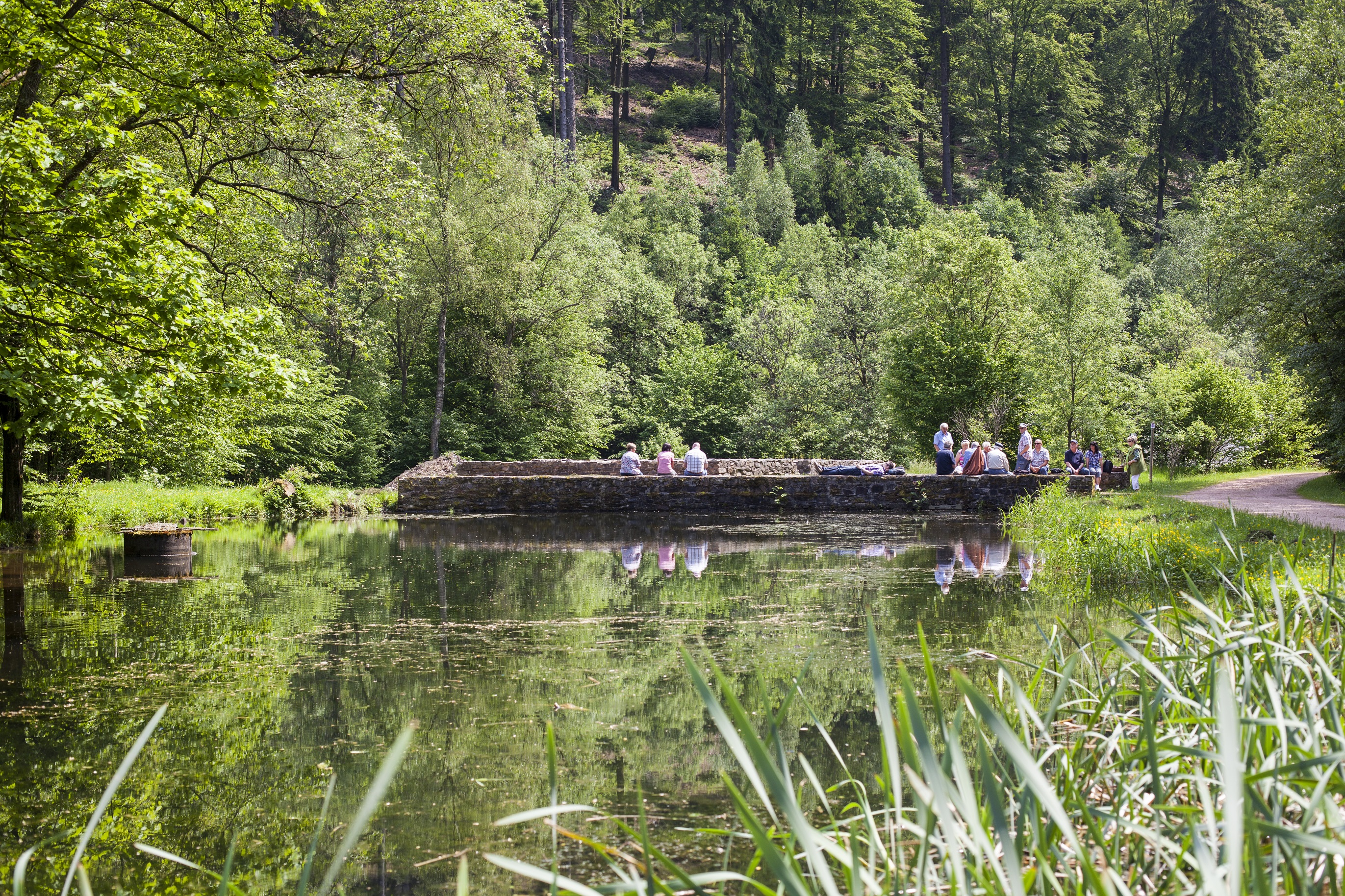 Traumschleifen Saar-Hunsrück (Rundwanderwege) | Hunsrück-Touristik