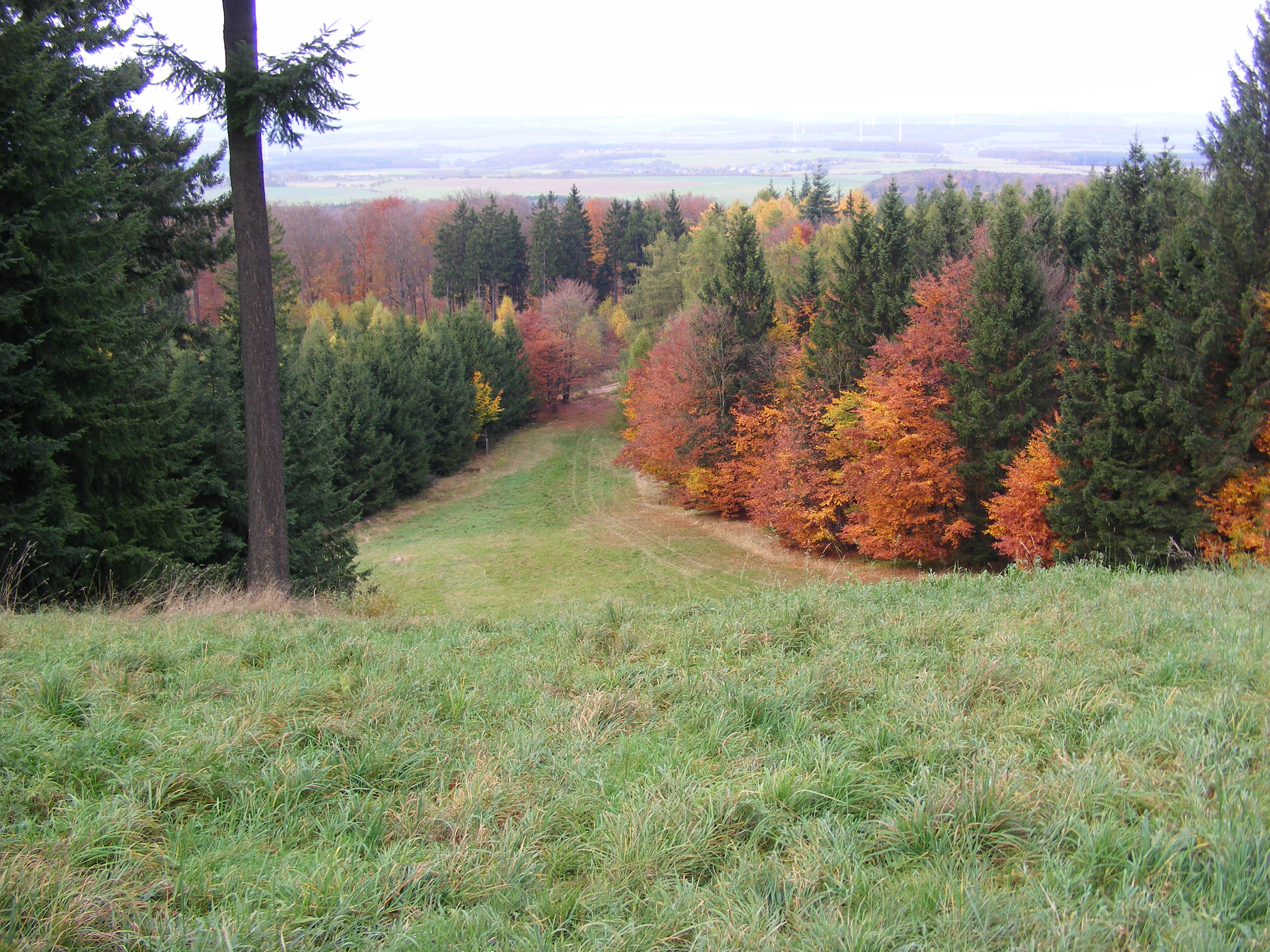 Traumschleifen Saar-Hunsrück (Rundwanderwege) | Hunsrück-Touristik