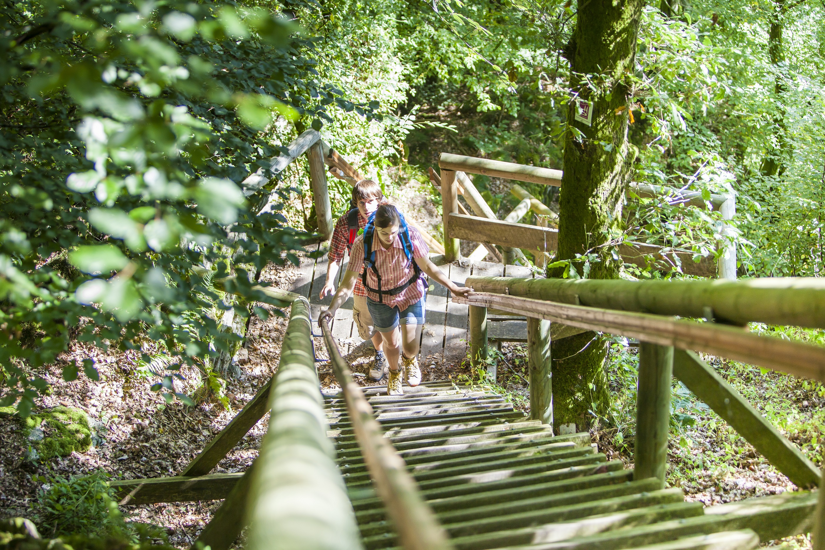 Traumschleifen Saar-Hunsrück (Rundwanderwege) | Hunsrück-Touristik